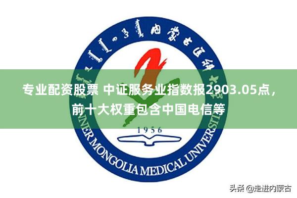 专业配资股票 中证服务业指数报2903.05点，前十大权重包含中国电信等