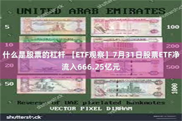 什么是股票的杠杆 【ETF观察】7月31日股票ETF净流入666.25亿元