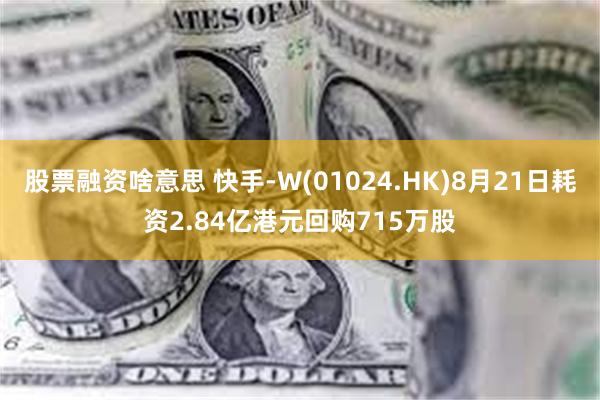 股票融资啥意思 快手-W(01024.HK)8月21日耗资2.84亿港元回购715万股