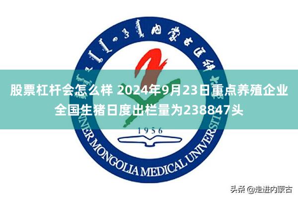 股票杠杆会怎么样 2024年9月23日重点养殖企业全国生猪日度出栏量为238847头