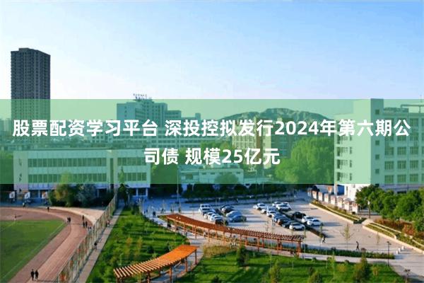 股票配资学习平台 深投控拟发行2024年第六期公司债 规模25亿元