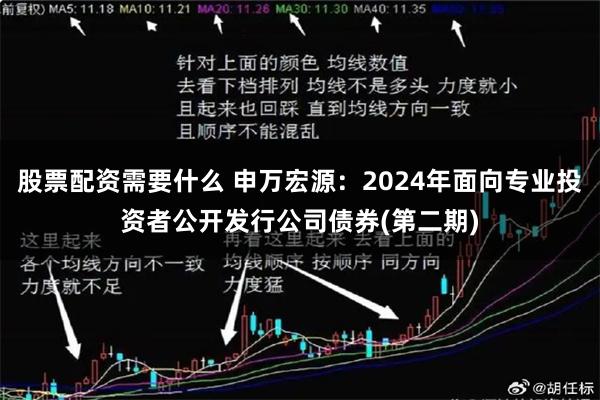 股票配资需要什么 申万宏源：2024年面向专业投资者公开发行公司债券(第二期)